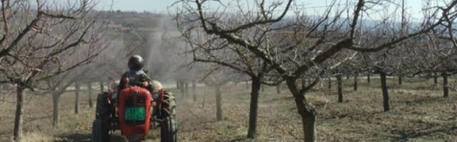 SVE NAPUSTILI, PA SE VRATILI U OČEVINU I NAPRAVILI ČUDO! Danas njihov proizvod traže svuda, A TAJNA JE U...