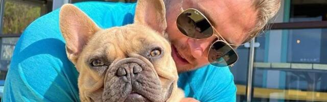 Stolar napustio posao kada je njegov buldog počeo da ZARAĐUJE VIŠE PARA!