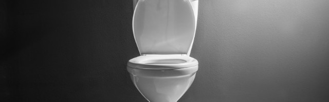Šta je sve prljavije od daske toaletne šolje?