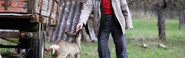 Šta sprečava socijalizaciju starih ljudi i kako je podstaći?