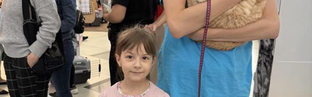 Izbor za najlepšu mačku Kragujevca – sve lepša od lepše