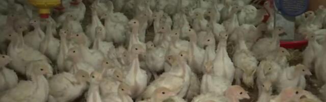 Poznati jagodinski brend otišao u istoriju: Od 600.000 komada, ostao nadimak