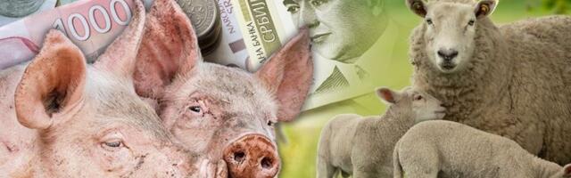 Približava se Đurđevdan - evo kakve su cene mesa na pijacama!