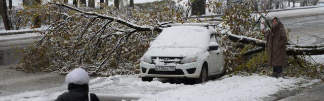Neverovatni snimci iz Moskve, sneg ne prestaje da pada: Upaljeni meteoalarmi, oboreno više od 200 stabala