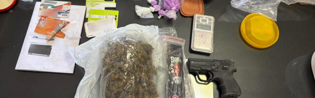 KOKAIN, MARIHUANA, KOFEIN, EKSTAZI I NELEGALNO ORUŽJE: Policija upala u kuću u Bačkoj Palanci, pogledajte šta su sve zatekli kod dilera! (foto)
