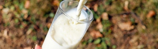 Nema zdrave i uravnotežene ishrane bez mleka i mlečnih proizvoda, a evo i zašto