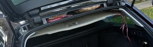 Zaplenjeno preko 55 kilograma marihuane (FOTO+VIDEO)