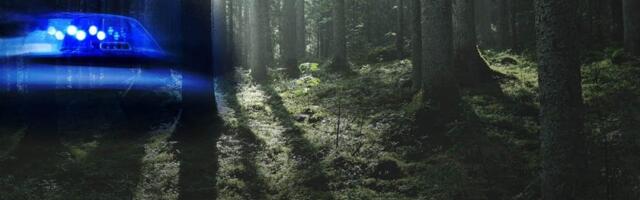 Tragedija kod Jagodine: Muškarca ubilo drvo