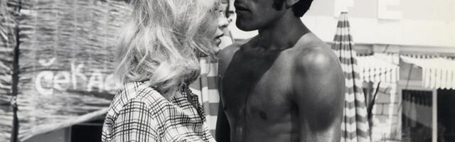 Ovako je izgledao dom Milene Dravić i Dragana Nikolića: Svuda je bilo cveće, a od detalja zastaje dah (FOTO)