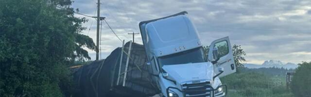 "Pčele su... pa... zuje": Prevrnuo se kamion sa milion pčela, komentari su (ne)očekivani