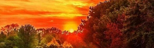 VELIKI NEDELJNI HOROSKOP Blizanci će napraviti rezove u životu, žučne rasprave sa partnerom imaće Škorpija, Strelca čeka veliki poslovni uspeh