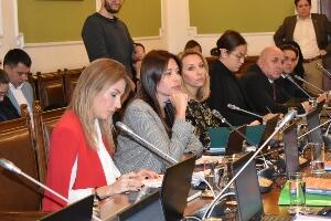 Скупштински одбор: Сагледати како користити литијум уз очување животне средине
