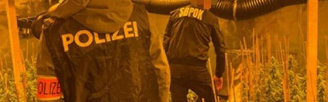 TONE DROGE, BESNA KOLA I SATOVI! Grupa iz Srbije uspela godinama da drži narko-biznis u Evropi RAZRAĐENOM ŠEMOM