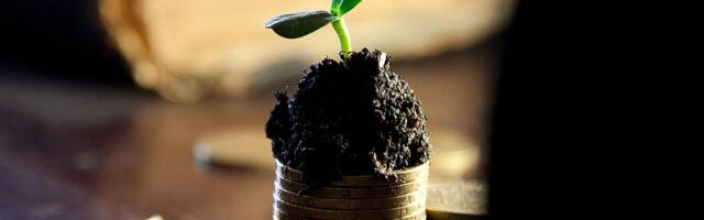 Novac raste na drveću: Milioni za organizacije bliske vlasti i pomoćniku ministra