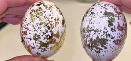 Svi su oduševljeni ovom tehnikom ukrašavanja uskršnjih jaja: Luksuzna remek dela iz pomoć jednog sastojka iz frižidera