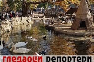 Гледаоци репортери (17. новембар 2022)