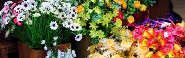 Prodavci cveća sa Zvezdare su postali hit na mrežama (FOTO)