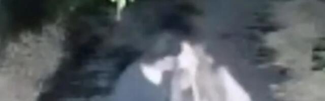 "Slao joj je pare i otplaćivao kredit" Nove šok tvrdnje o odnosu Sofije i Daneta (70) - Sve stalo kad se...