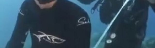 Pevač Sakis Ruvas skočio s jahte i na dnu mora presekao vrpcu (VIDEO)