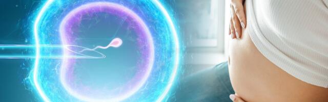 Naučnici uspeli da „podmlade“ jajne ćelije: Revolucija vantelesne oplodnje kod starijih žena