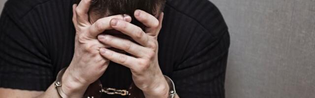 Fiktivni poslovi i milionska korist: Trojac završio iza rešetaka u Novom Sadu