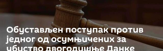 Обустављен поступак против једног од осумњичених за убиство двогодишње Данке Илић