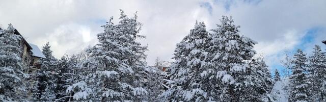 Do kada će padati sneg – vremenska prognoza do Nove godine