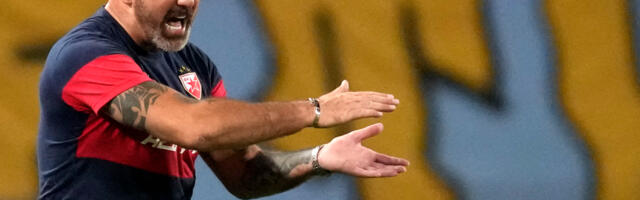 Stanković “veruje u svoju zamisao”