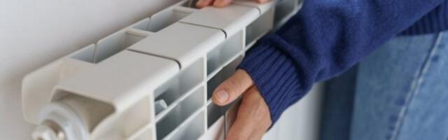 "SVI DA ISKLJUČIMO GREJANJE? DA LI SU ONI NORMALNI?": Zamenik premijera osuo drvlje i kamenje po Evropskoj uniji