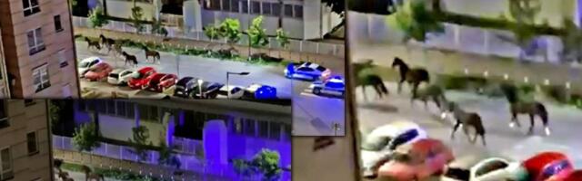Smehotres u Kragujevcu: Kako se ovo desilo (VIDEO)