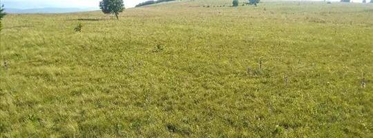 Već deset godina nema zainteresiranih za zakup poljoprivrednog zemljišta u Novom Pazaru