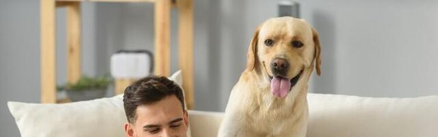 Kako da naučite psa da sedne - legne i ustane za par minuta