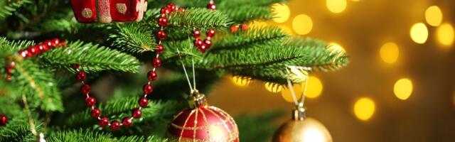 Glogonj uoči Nove godine zaličio na Diznijevu bajku: Pogledajte najlepše okićenu kuću u Vojvodini, a i dalje