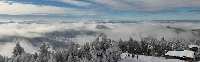 Slika sa Zlatibora koja gađa u srce! Prepušteni zimi i snegu, kreću se sami: Svi se pitaju SAMO JEDNO