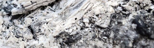 Evropa za ovim plače: Blago koje je Srbija zakopala i ne zna da iskoristi