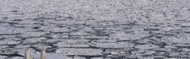 У Британији од данас на снази здравствено упозорење због хладног времена