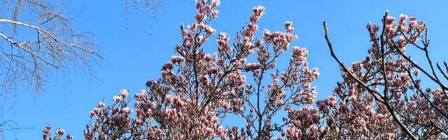 Topli dani koji su pred nama prava su prilika za upoznavanje nekih od najlepših prolećnih destinacija u Evropi