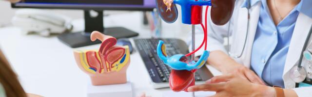 Koliko često treba piškiti i šta urin govori o zdravlju