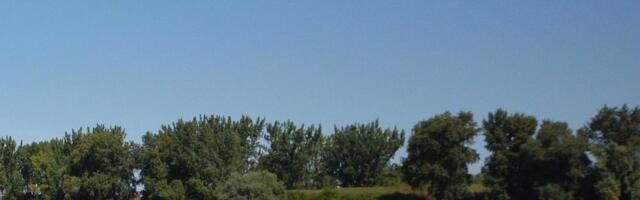 Vanredna situacija u Somboru, Kuli i Vrbasu zbog rekordno niskog vodostaja Dunava