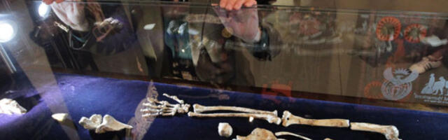 Двоножни ход и живот на дрвећу: како се кретао најранији хоминин (ВИДЕО)