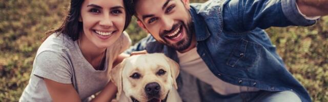 5 rasa pasa koji obožavaju ljude: Nežni i beskrajno odani - žive da udovolje vlasniku