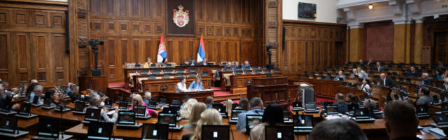 Посланици расправљали о заштити малолетника и оштријим казнама за нелегално оружје
