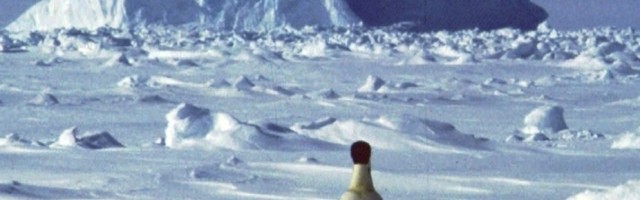 Izgubio novčanik na Antarktiku pre 53 godine, a onda se desilo nešto neverovatno!