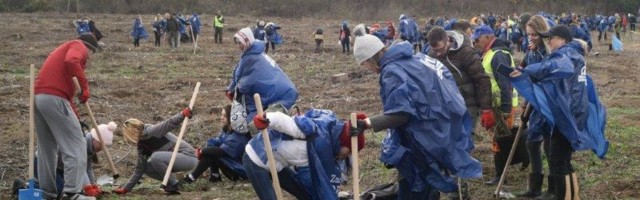 U NAJVEĆOJ AKCIJI SADNJE 'ZASADI DRVO'  DO SADA POSAĐENO 140.000 SADNICA I PRIKUPLJENO 1,5 TONA SEMENA:  Sada biramo 'Zasadi drvo ambasadore'