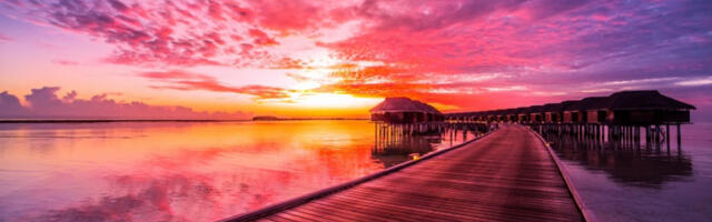 VIKEND HOROSKOP Device, čuvajte se sumnjivih predloga, Bikovi, budite mudri u svojim izborima