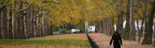 Ујутру магловито, током дана сунчано са температуром до 16 степени