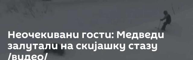 Неочекивани гости: Медведи залутали на скијашку стазу /видео/
