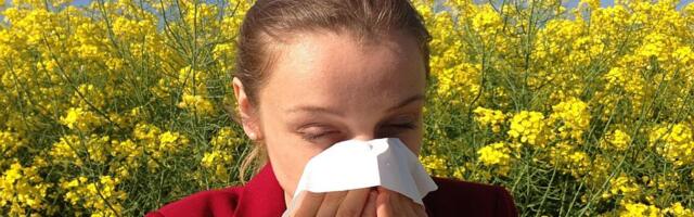 Ako ste alergični na polen: Počinje najgori period godine, već se pojavili prvi alergeni