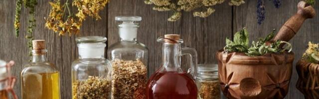 Za ovom biljkom lude u Srbiji, a niko ne zna da donosi masnu zaradu: Sada je pravo veme za sadnju