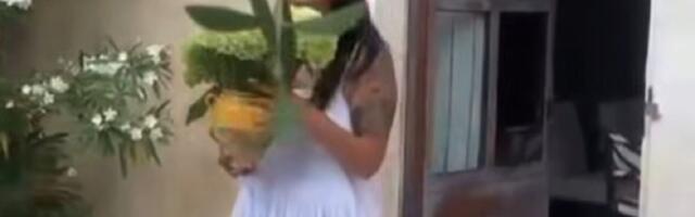 Bajkoviti dom Elene Karić u Provansi! Rustična dekoracija i doručak kao iz filma ostavljaju bez daha